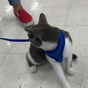 Meet your Posher, Sergio